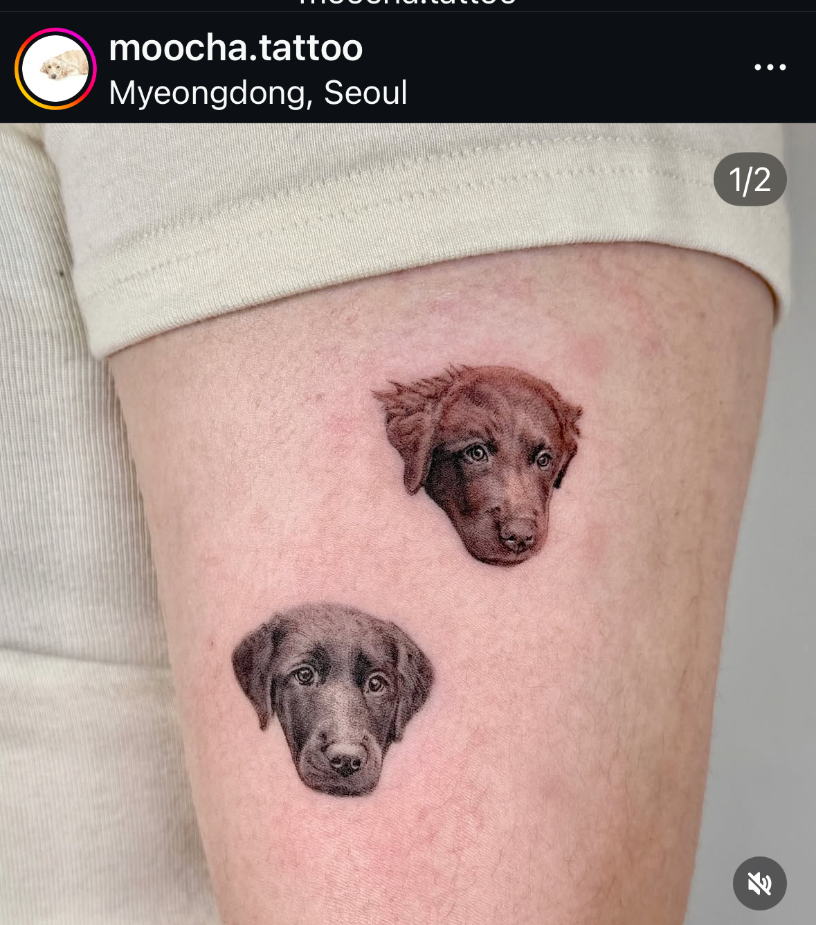 타투 모델(반려동물) 구합니다!