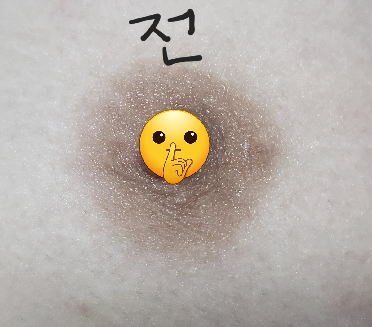 유륜반영구모델 구합니다.