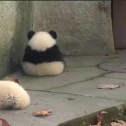메이크업 국가자격증 모델구합니다