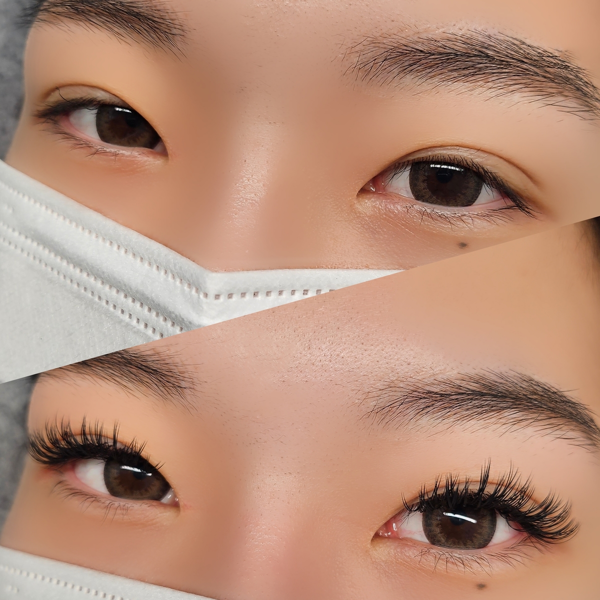 속눈썹 연장 무료모델 구합니다