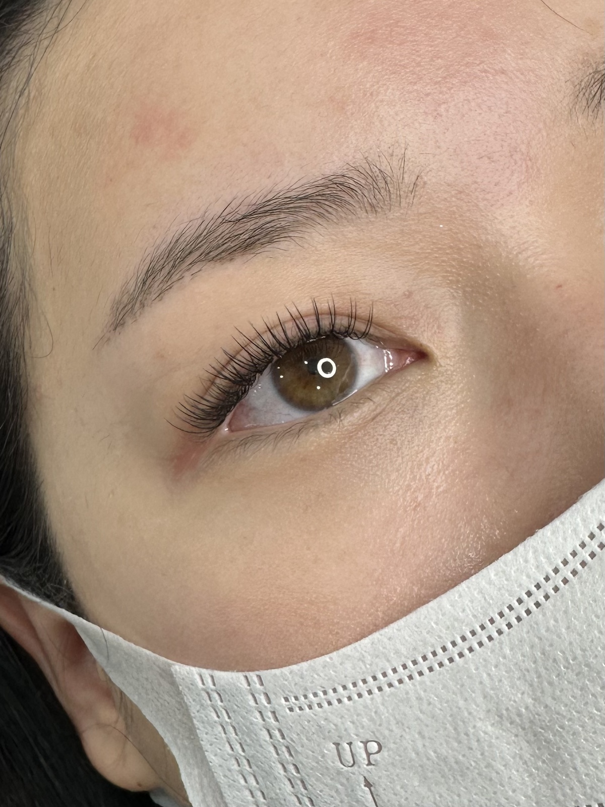 🤍 (상시) 속눈썹 연장 모델 모집합니당🤍
