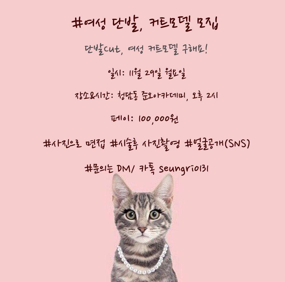 여성 단발 커트모델구해요